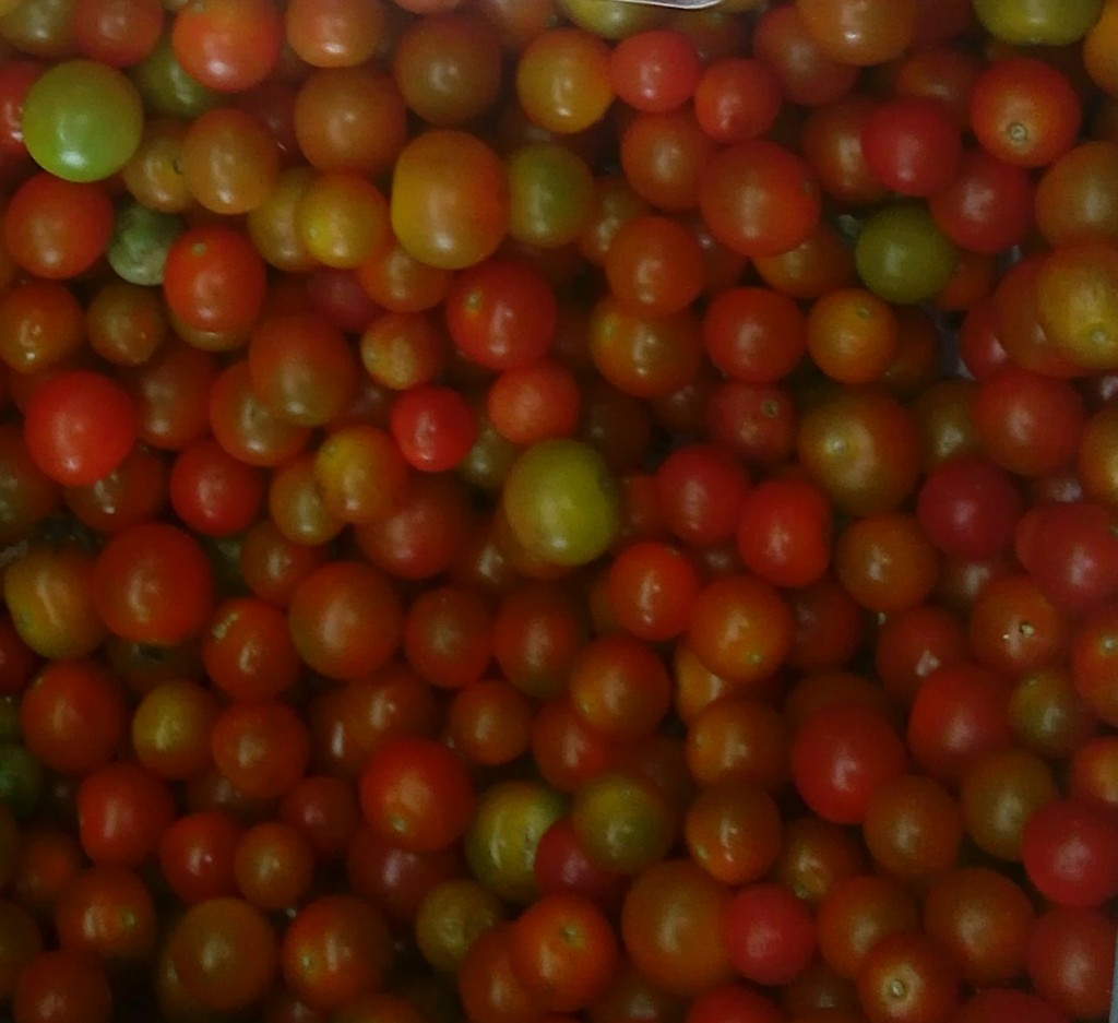 Tomate cherry