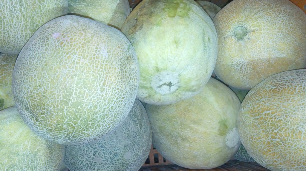 Melón
