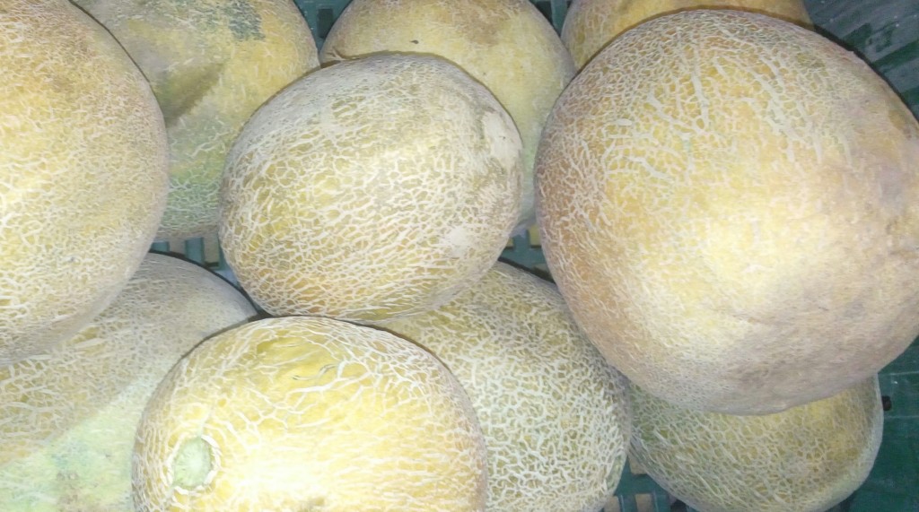 Melón