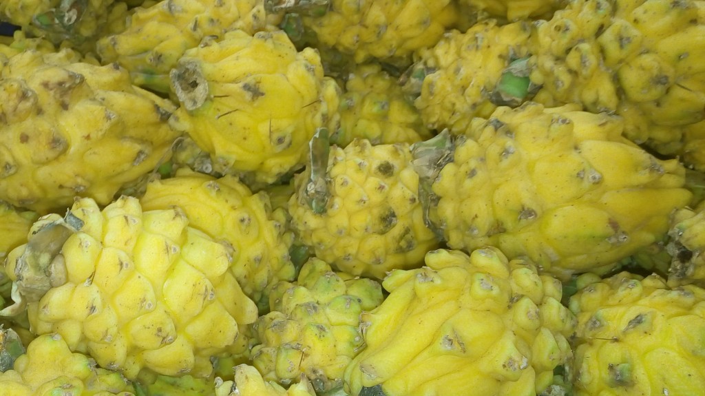 Pitaya