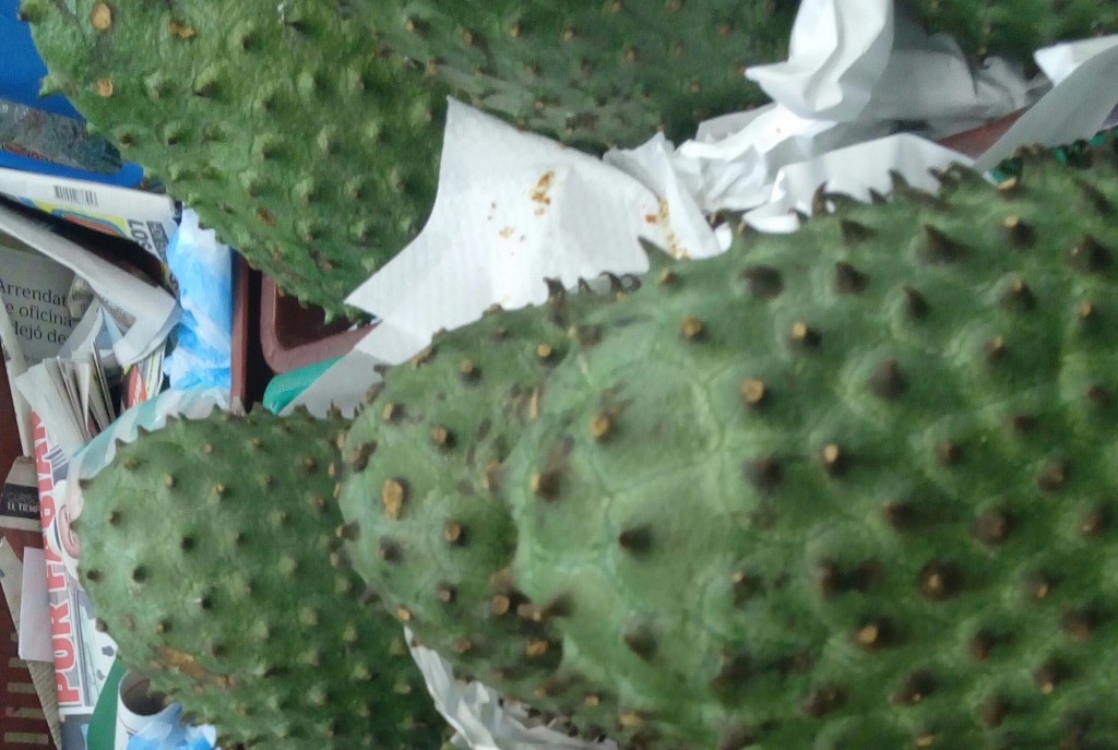 Guanabana