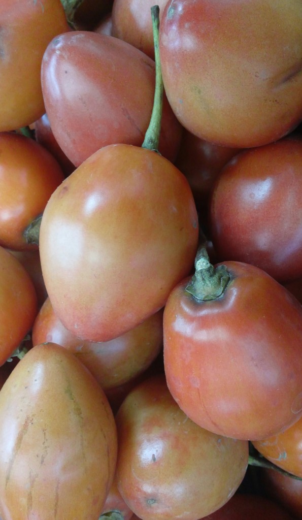 Tomate de arbol
