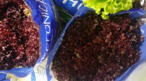 Lechuga crespa morada