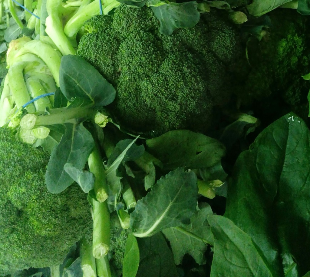 Brócoli