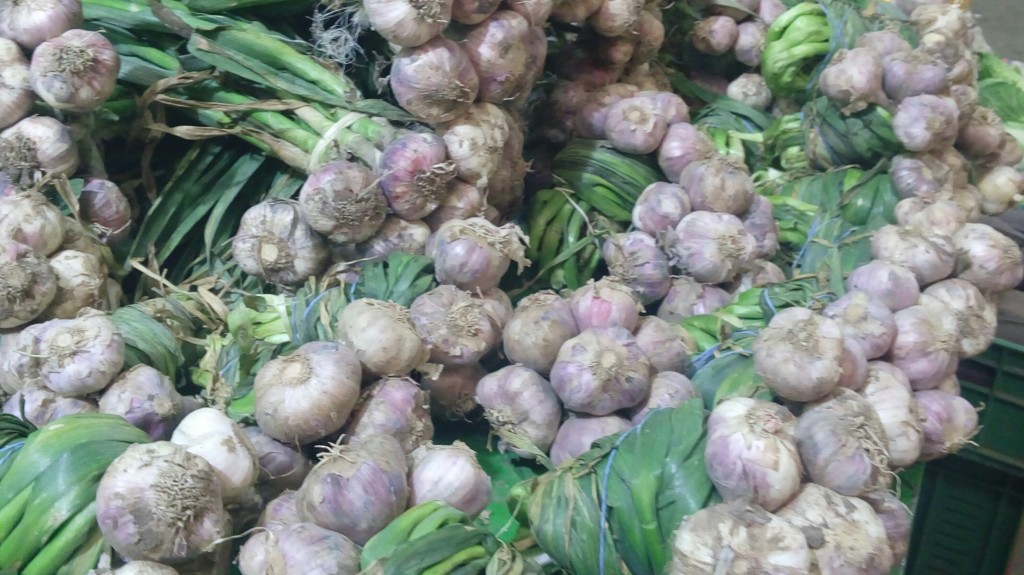 Ajo en rama