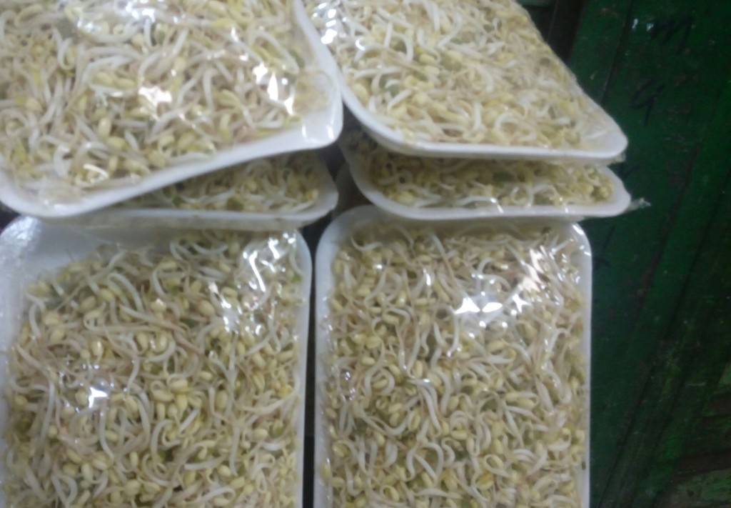 Raíces Chinas