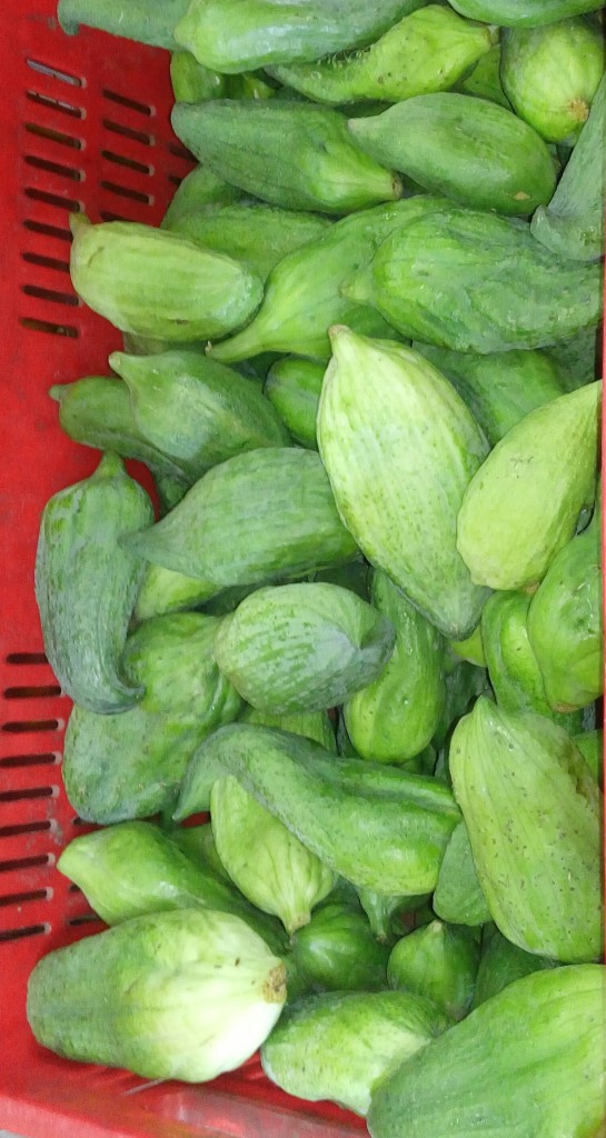 Pepino para guiso