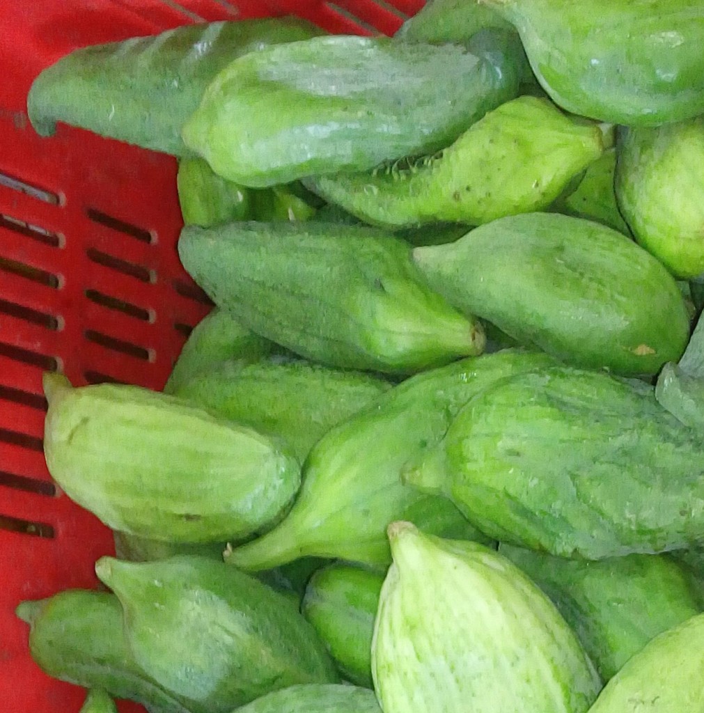 Pepino para guiso