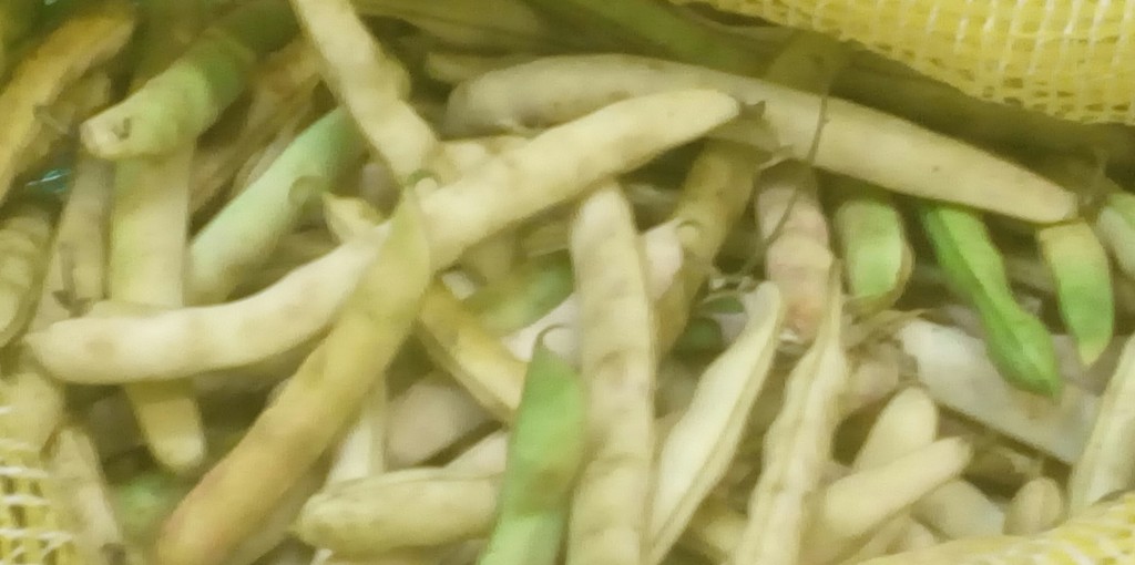 Frijol en cascara