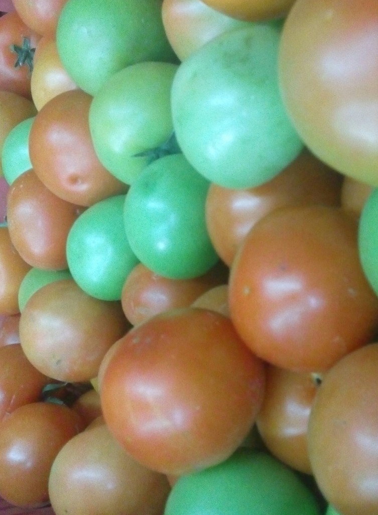 Tomate larga vida de tercera