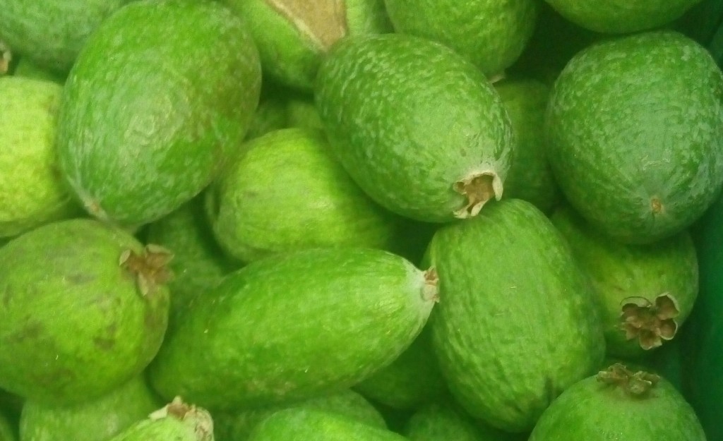 Feijoa
