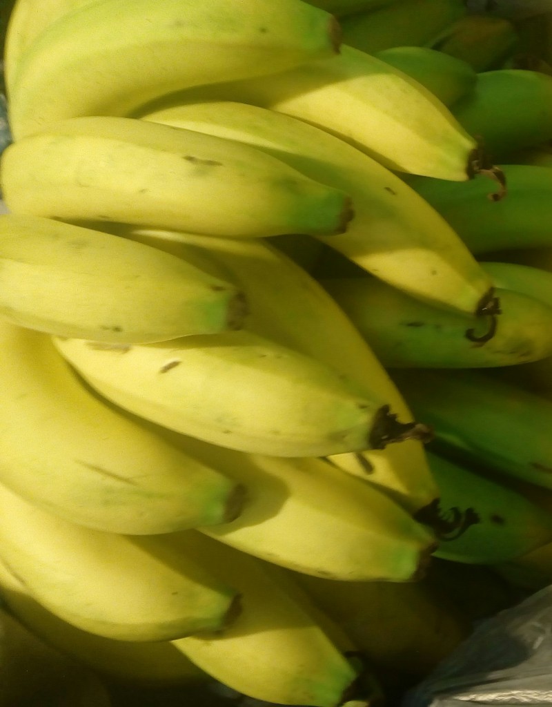 Banano común