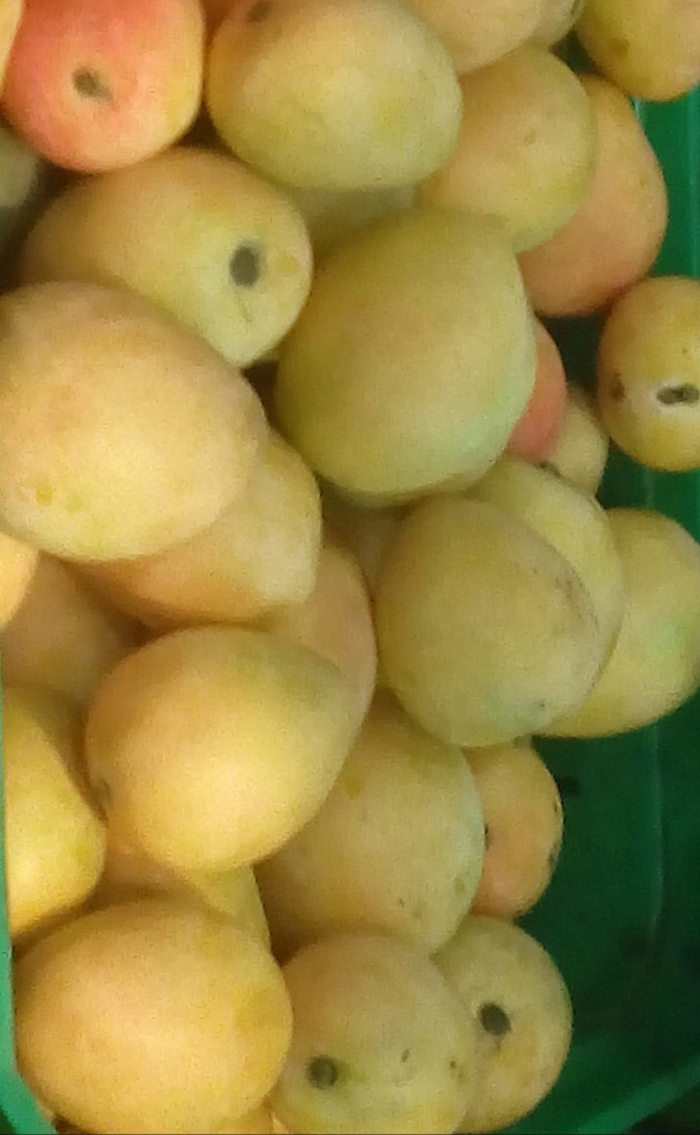 Mango de azucar