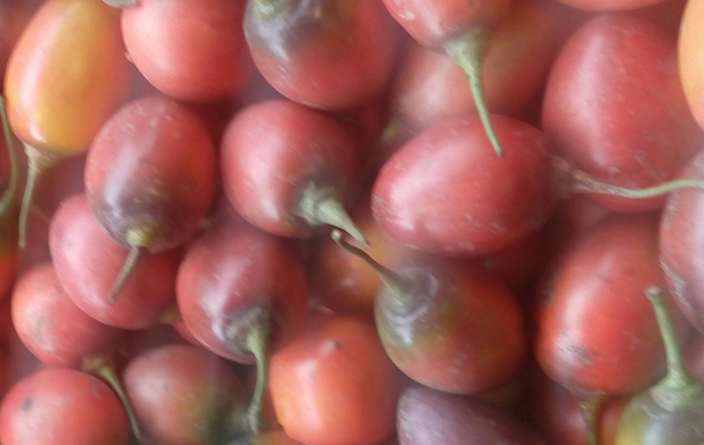 Tomate de árbol