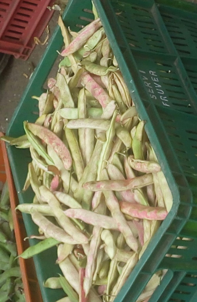 Fríjol en cascara
