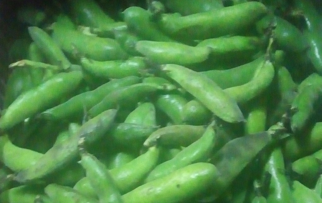 Abás