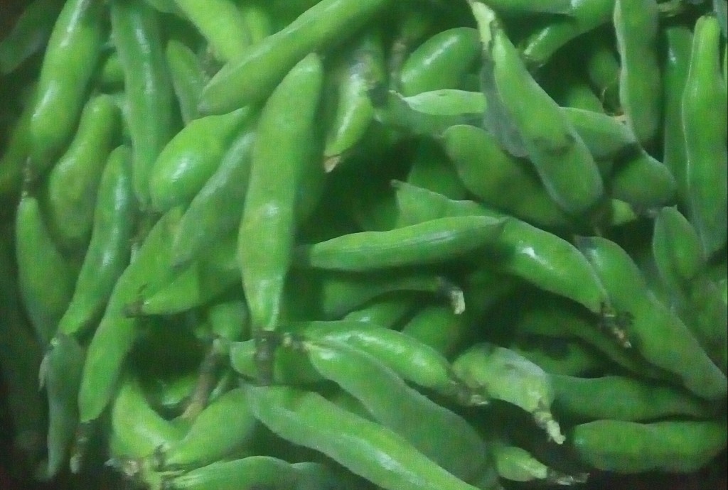Abás en cascara