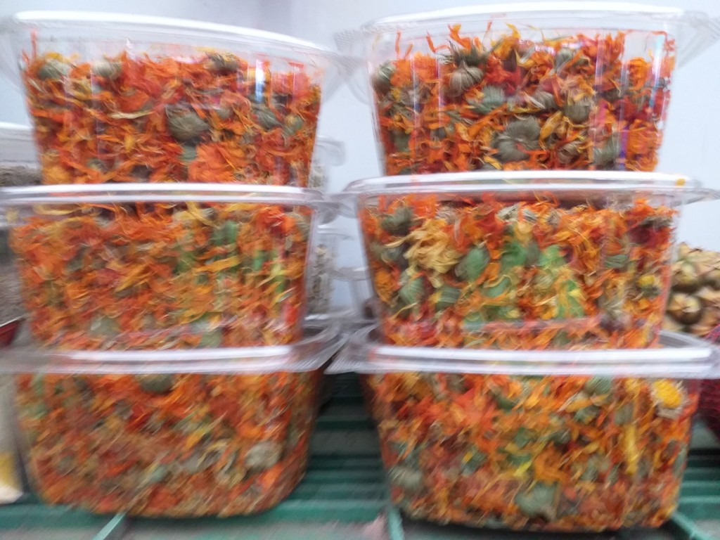Calendula