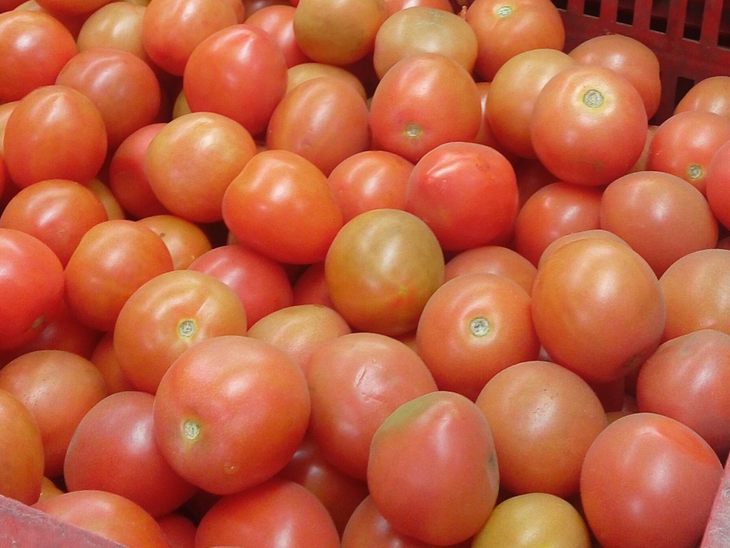 Tomate chonto de tercera
