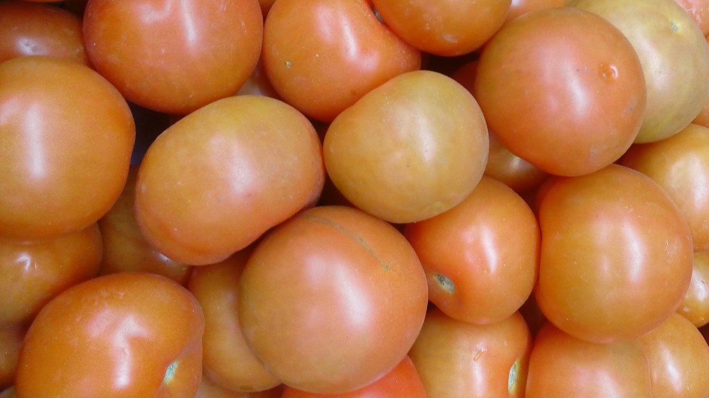 Tomate chonto selecto