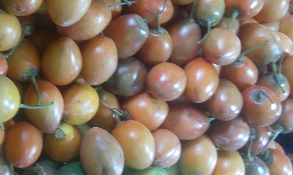 Tomate de arbol