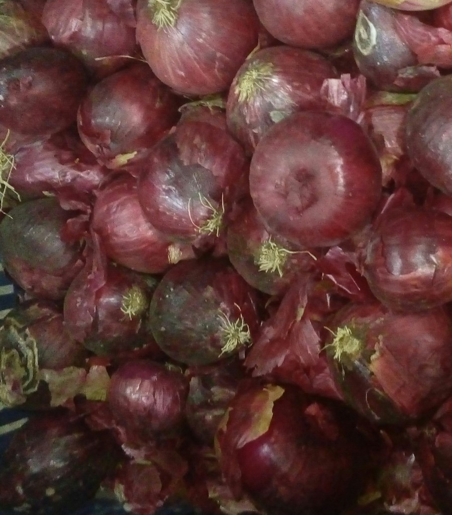 Cebolla cabezona morada