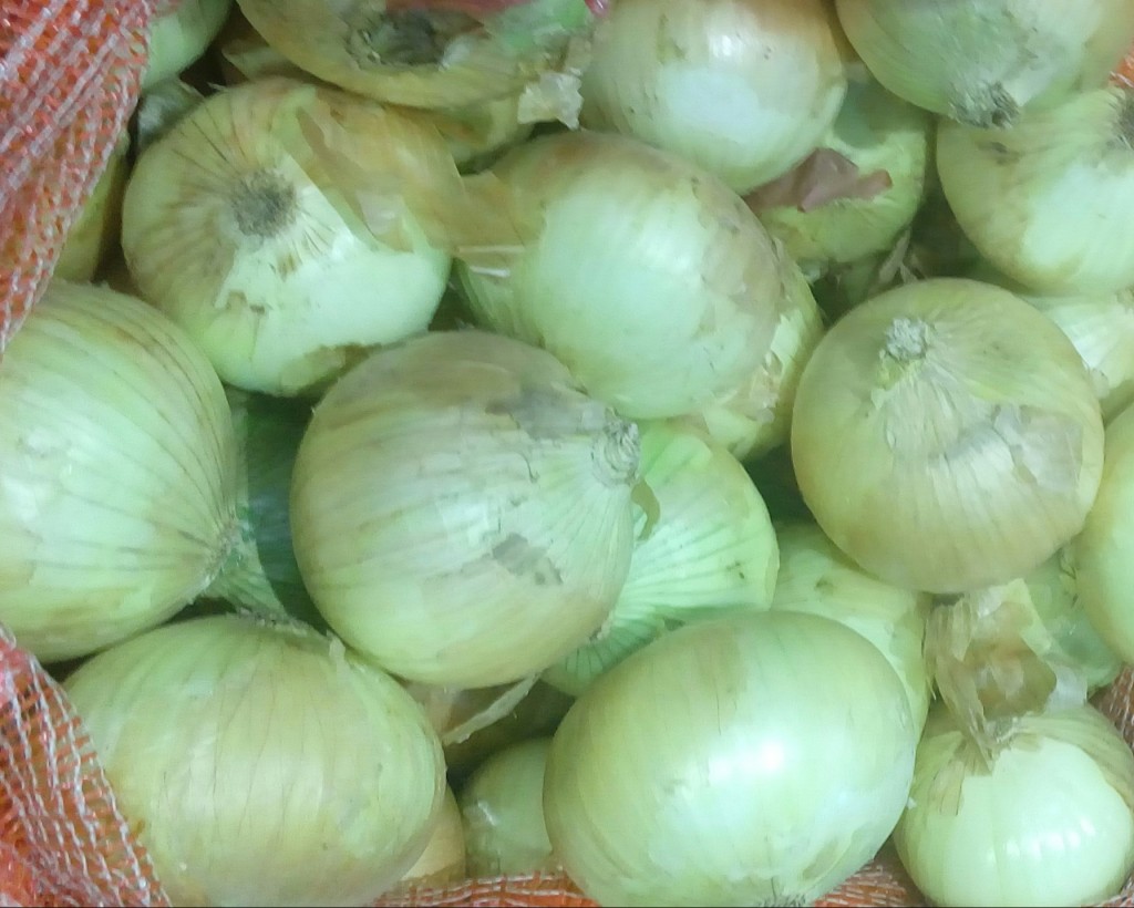 Cebolla cabezona