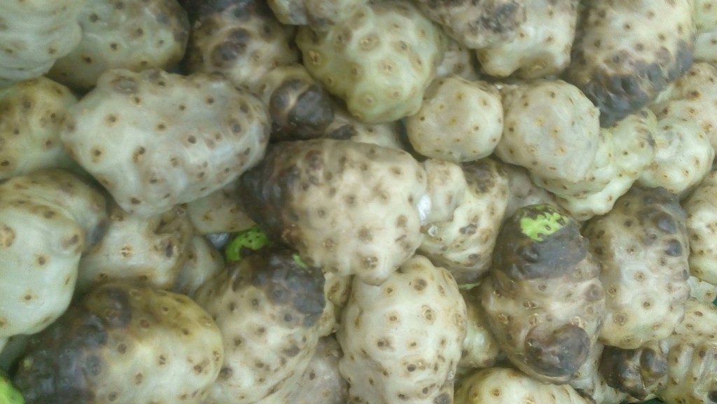 Noni
