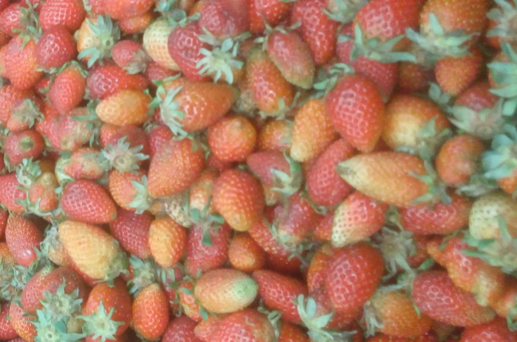 Fresas de tercera