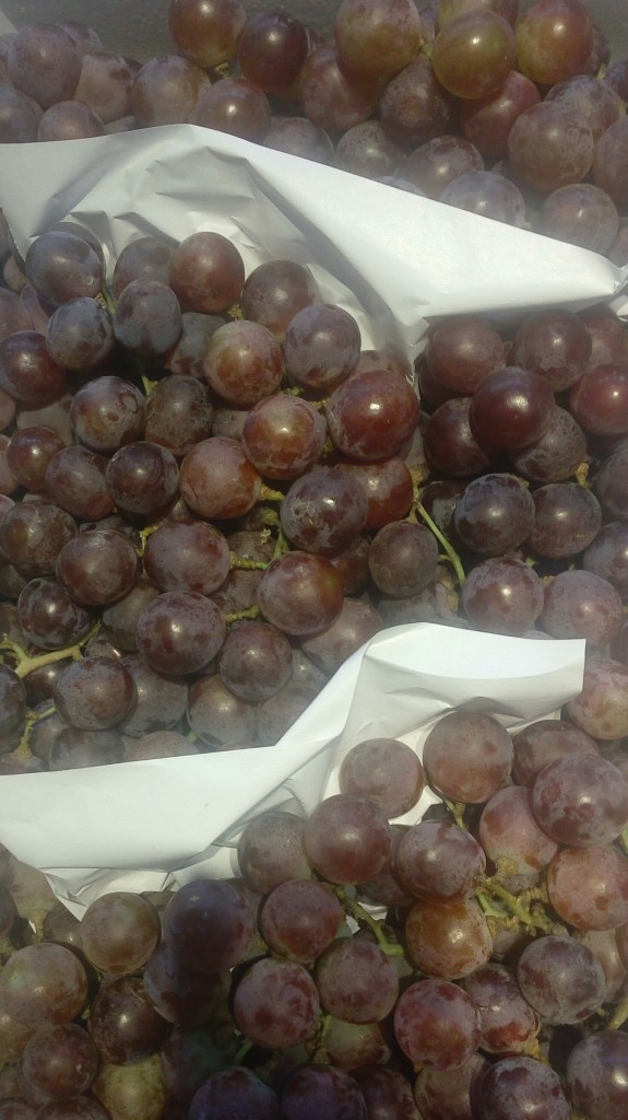 uvas red globe exportacion