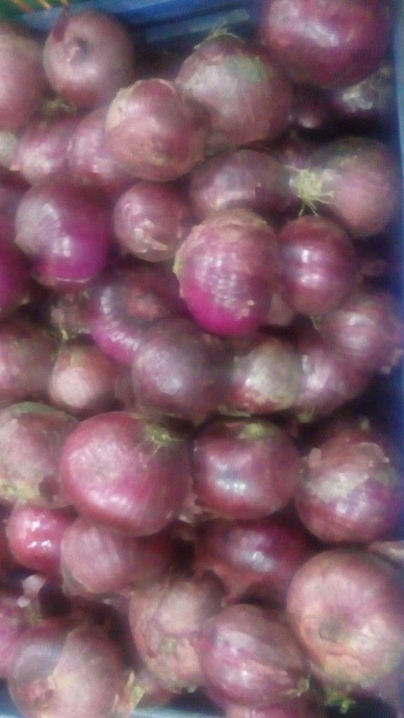 Cebolla cabezona morada