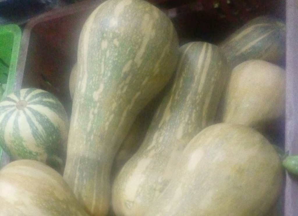 Ahuyama Sapayo