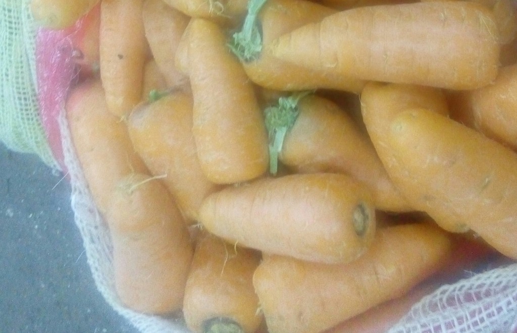 Zanahoria gruesa