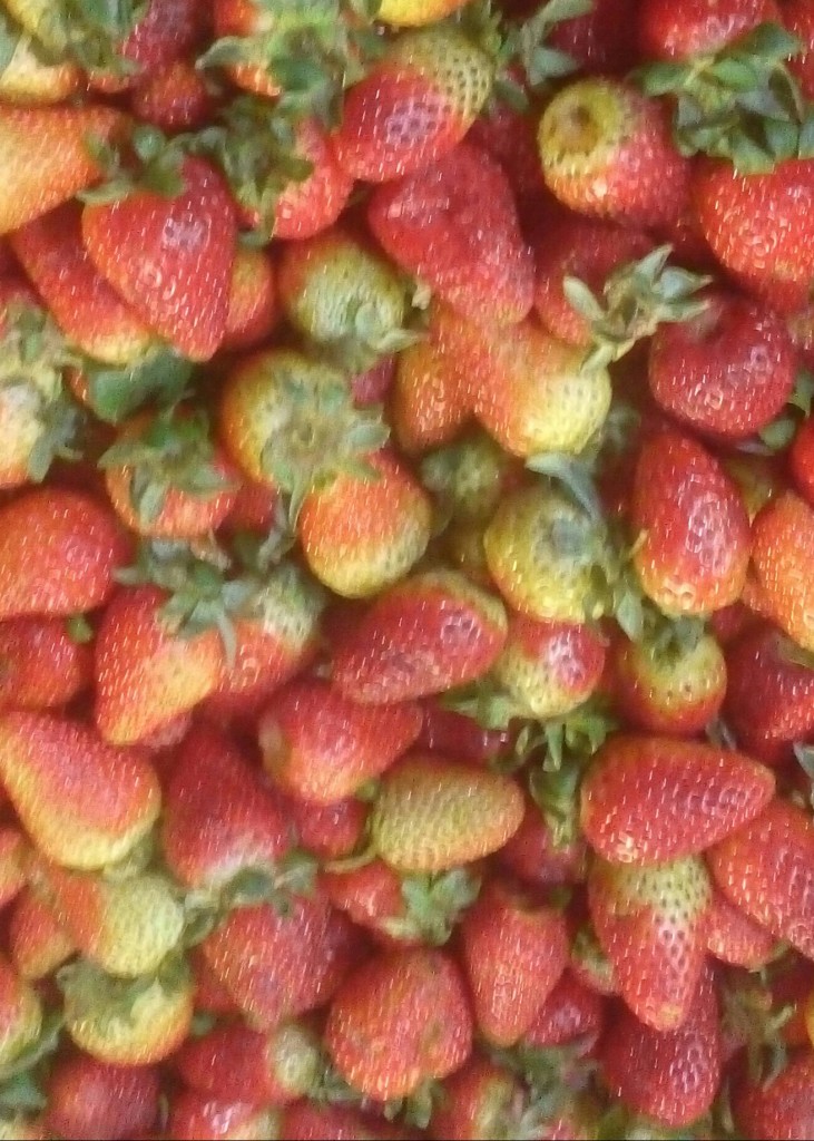 Fresas de cuarta