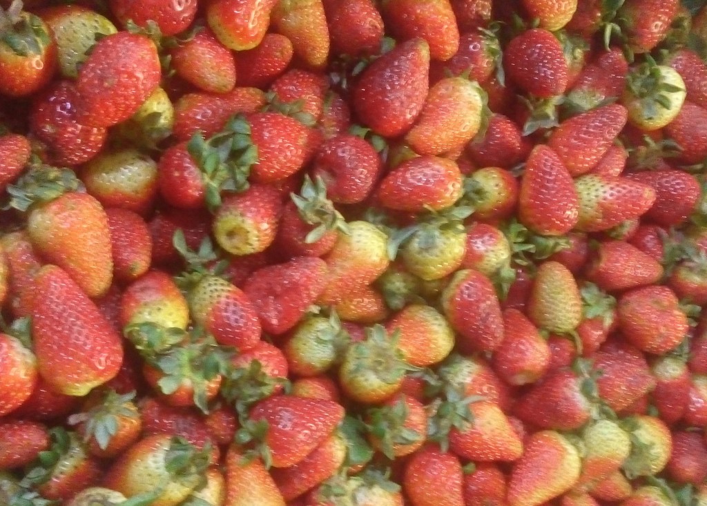 Fresas de tercera