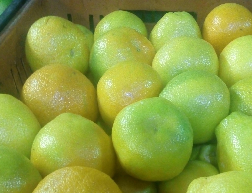 Naranja Valencia