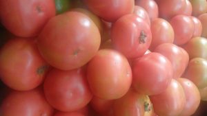 Tomate larga vida de primera