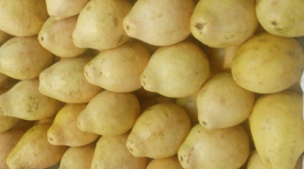 Guayaba
