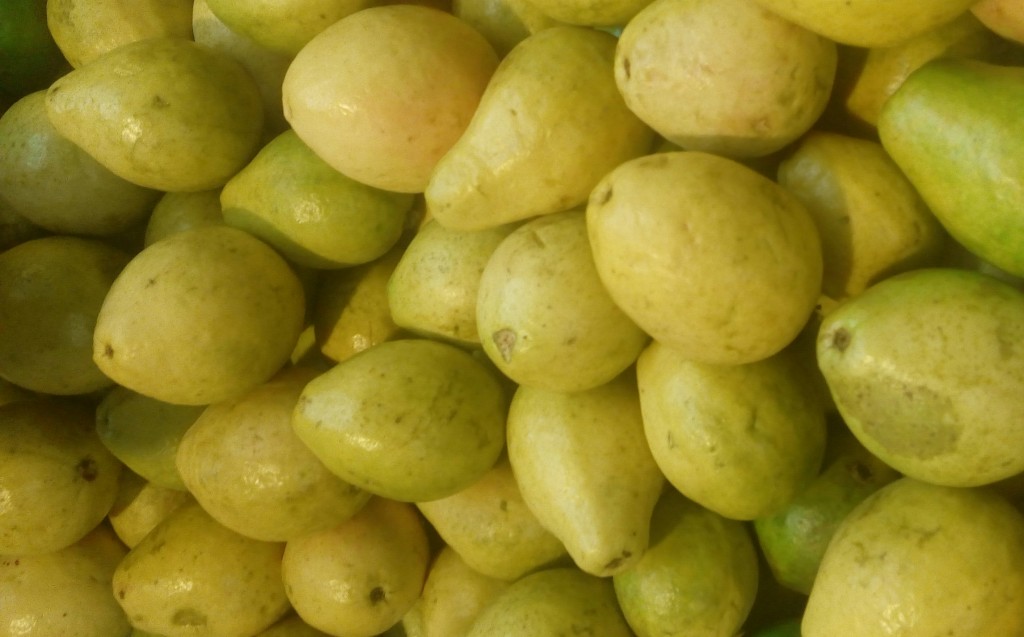 Guayaba fina