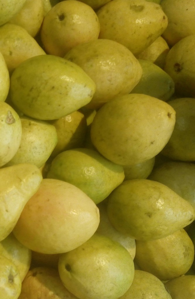 Guayaba
