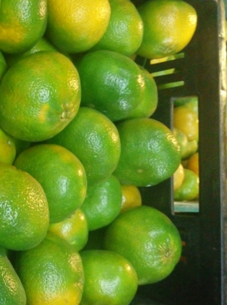 Mandarina arrallana