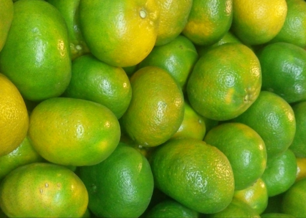 Mandarina lisa