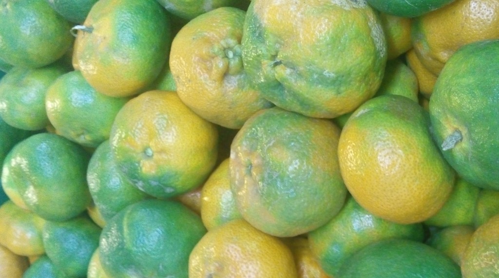 Mandarinas