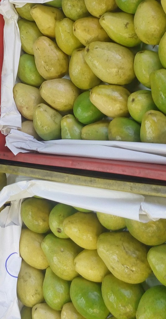 Guayaba pera