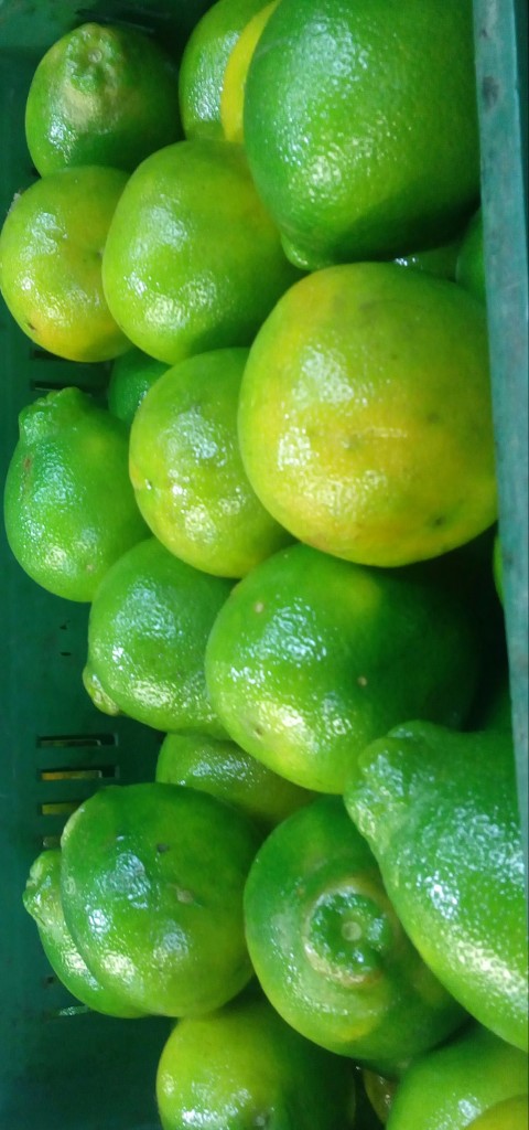 Naranja tangelo