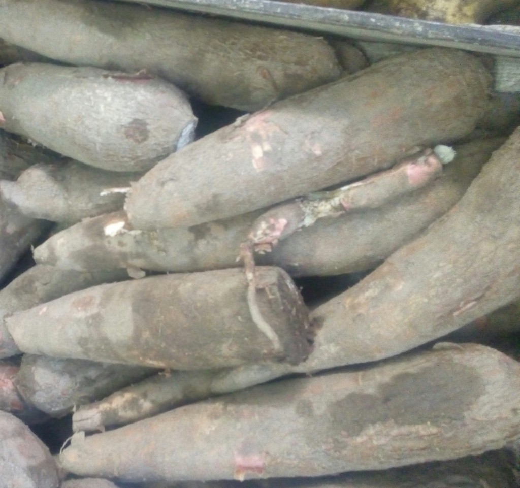 Yuxa