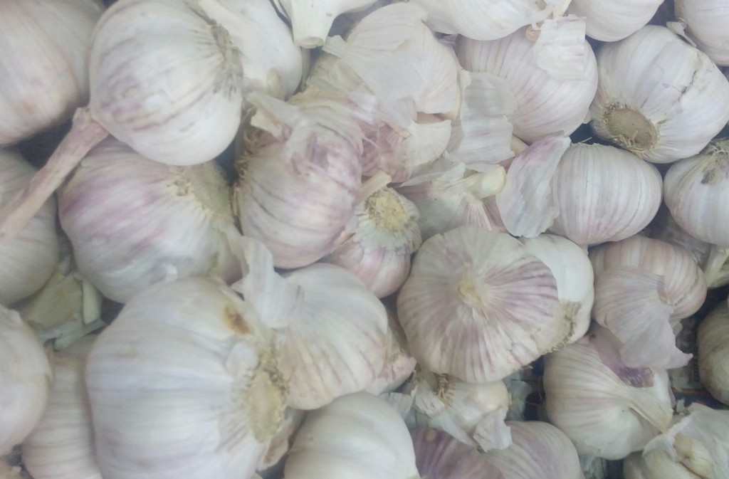 Ajo blanco
