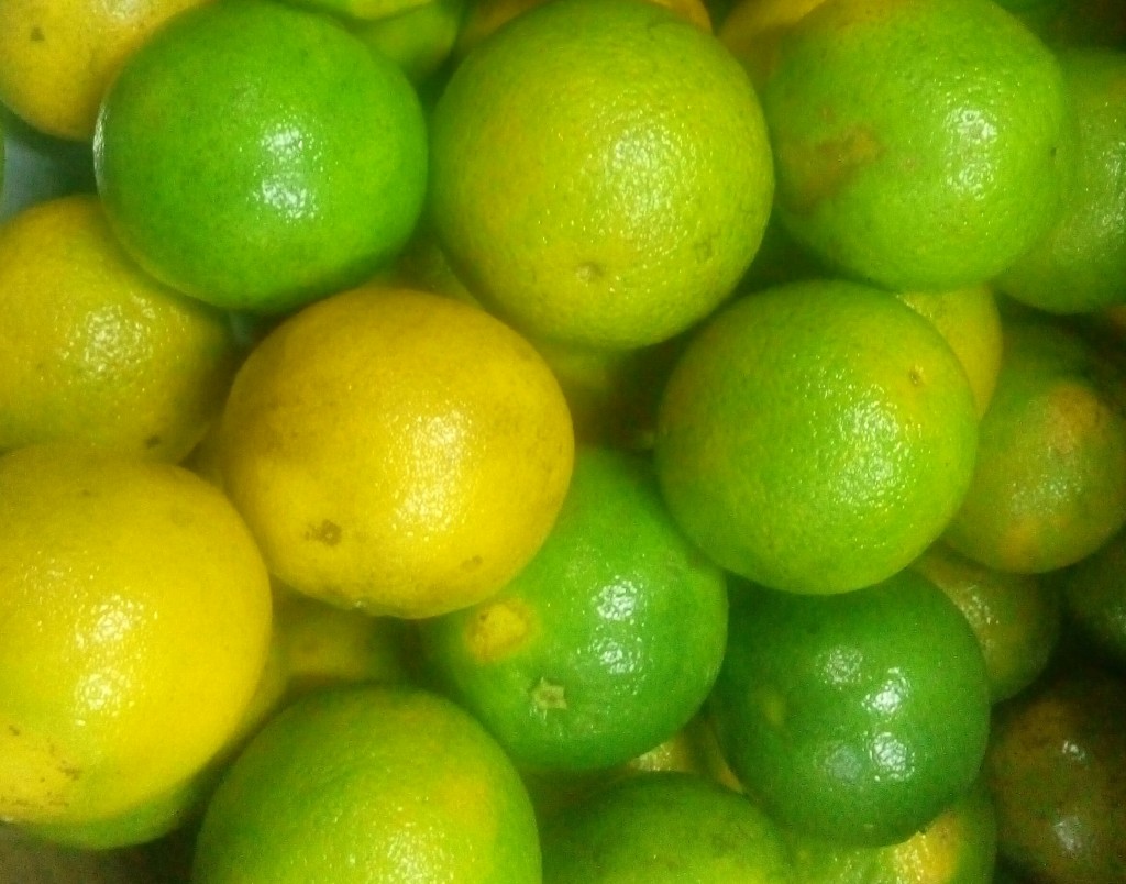 Naranja Valencia