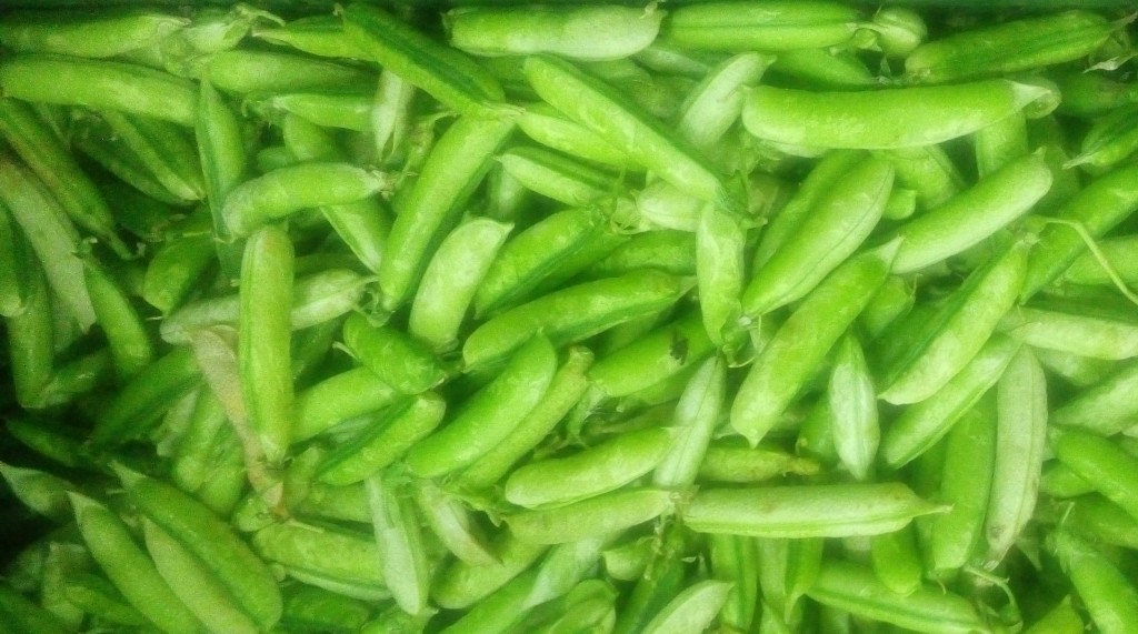 Arveja en cascara
