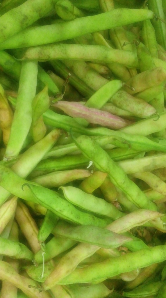Fríjol en cascara